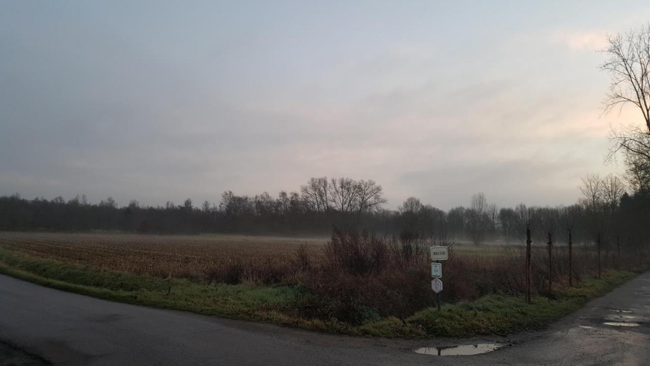 B&B Leybeeckhof Holsbeek Exteriör bild