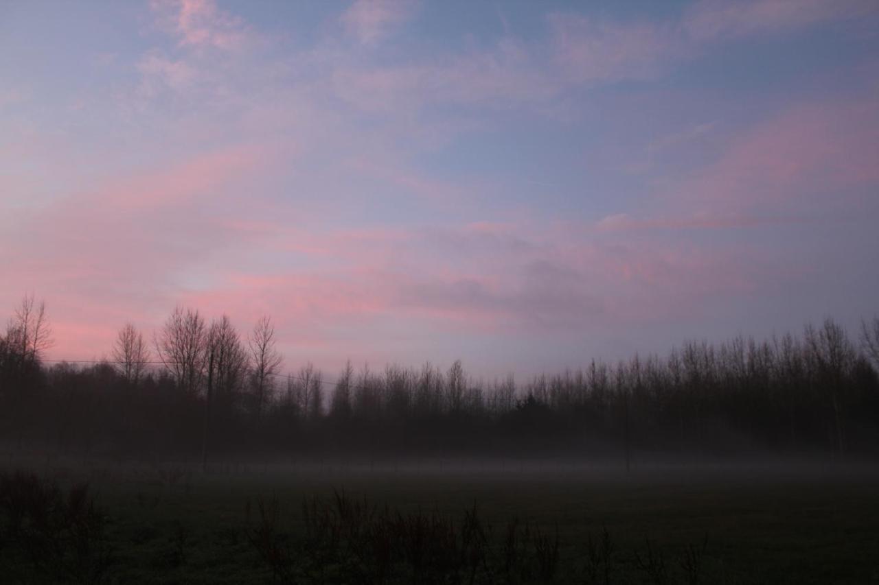 B&B Leybeeckhof Holsbeek Exteriör bild
