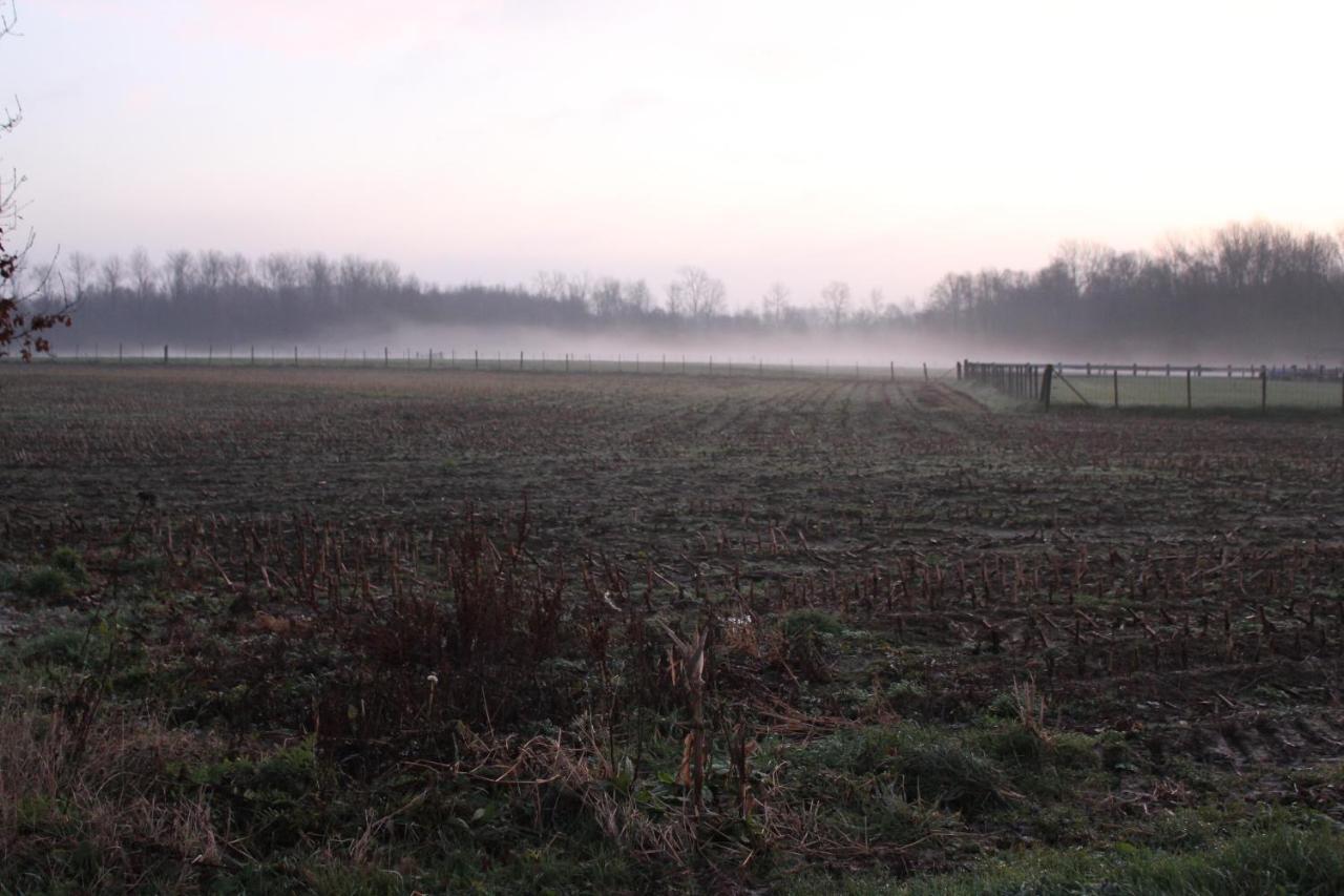 B&B Leybeeckhof Holsbeek Exteriör bild
