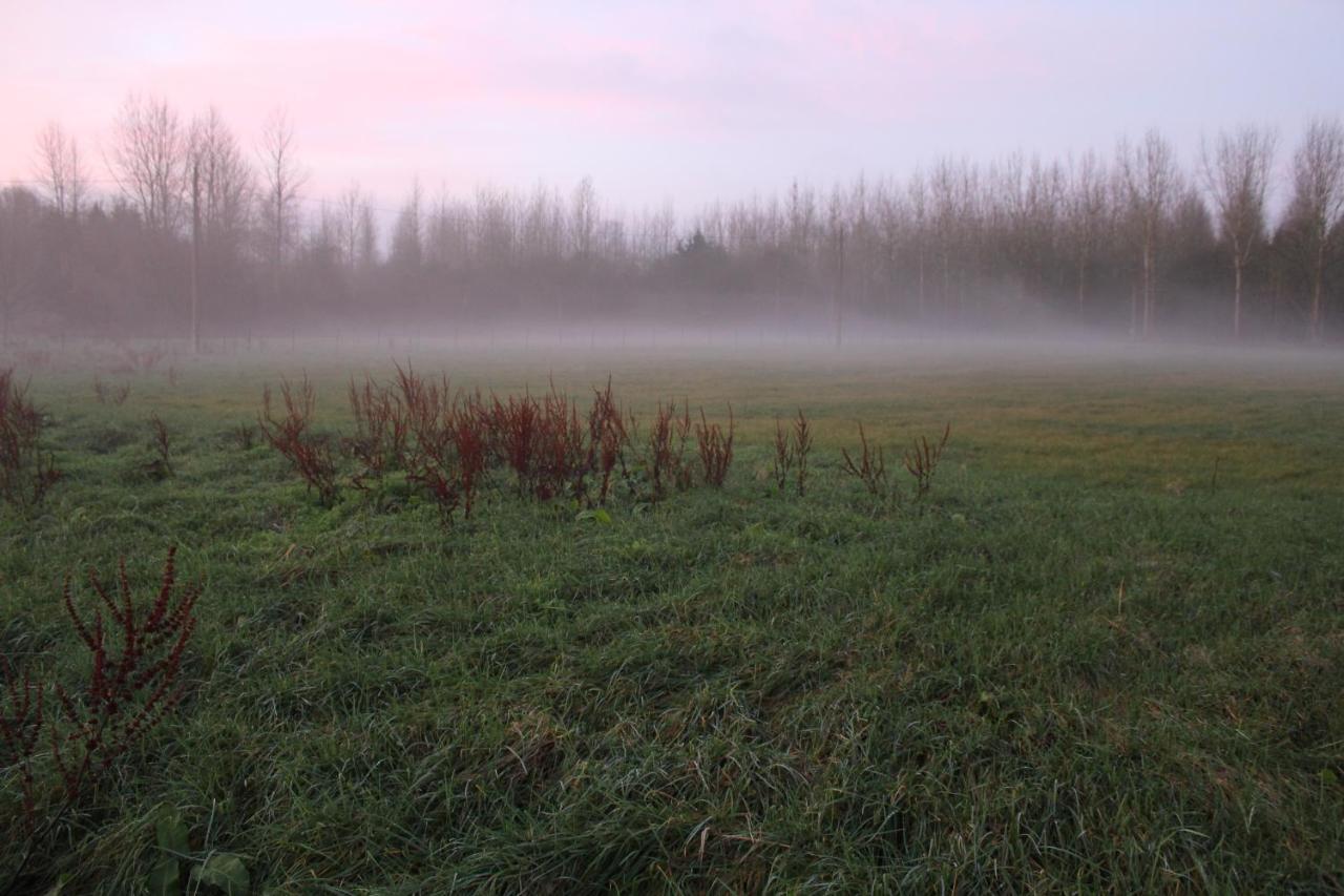 B&B Leybeeckhof Holsbeek Exteriör bild